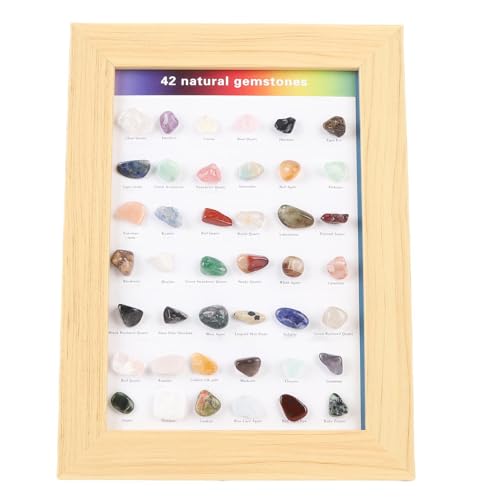 GLOGLOW Kids Rock Collection Kit, 42 Stücke Natur Geographie Edelsteine ​​Kristalle und Mineralausbildung Kit Geeignet für Anfänger und Gewürze Geeignet von GLOGLOW