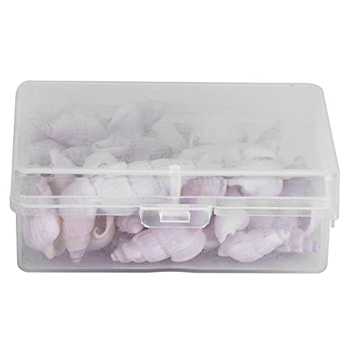 GLOGLOW Se Snak DIY Conch Schmuckhandwerk für Wohnkerndekorationen Sea Snail Ornamente für DIY -Enthusiasten GLOGLOW Se Snak DIY Conch Schmuckhandwerk für Wohnkerndekorationen Sea Snail Ornamente für DIY -Enthusiasten von GLOGLOW