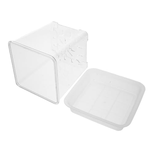 GLSTOY 1 Satz Mini-pflanztöpfe Klarer Topf Pflanztopf Klare Anzuchttöpfe Mit Drainage Pflanzgefäße Aus Kunststoff Klare Töpfe Für Pflanzen Kopfpflanzer Pflanzentopf Transparent Plastik von GLSTOY