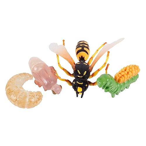 GLSTOY 1 Wespe Wachstumszyklus Evolutionsmodell Simulationsmodell Simulation Ornamente Tieranzeigemodelle Lernbedarf Spielzeugmodell Tierwachstumsmodell Modelle Spielzeug von GLSTOY