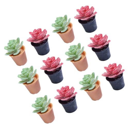 GLSTOY 12 Stück Teiliges Miniatur Pflanzen Künstliche Topfpflanzen Mini Bonsai Dekoration für Puppenhaus DIY Mini Garten Zimmer Naturgetreu und Vielseitig für Wohn und Arbeitsräume von GLSTOY