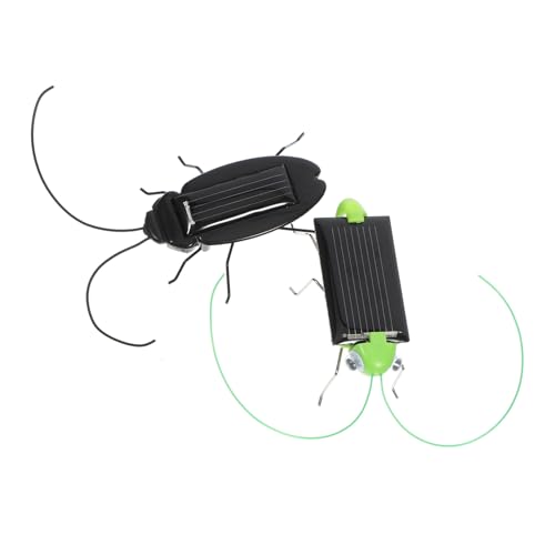 GLSTOY 2Stücke Teiliges Solarbetriebenes Insekten Spielzeugset Simulation Kakerlake für Bildung und Spaß im Freien für Jungen GLSTOY 2Stücke Teiliges Solarbetriebenes Insekten Spielzeugset Simulation Kakerlake für Bildung und Spaß im Freien für Jungen von GLSTOY