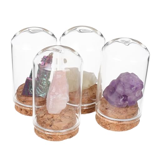 GLSTOY Lehrreiches Kristallset 4-teilig Amethyst-mineralienproben in Glaskuppeln Für Halloween Und Spirituelle Ausstellung von GLSTOY