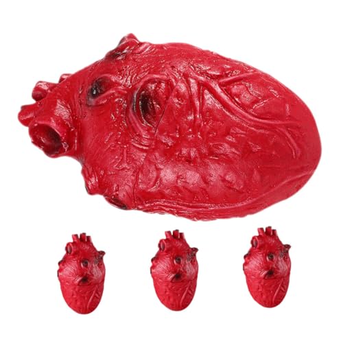 GLSTOY 4 Stück Teiliges Halloween Deko Blutiges Herz Realistische Organ Nachbildung Gruselige Körperteile Party Horror Requisiten Indoor Outdoor Dekoration von GLSTOY