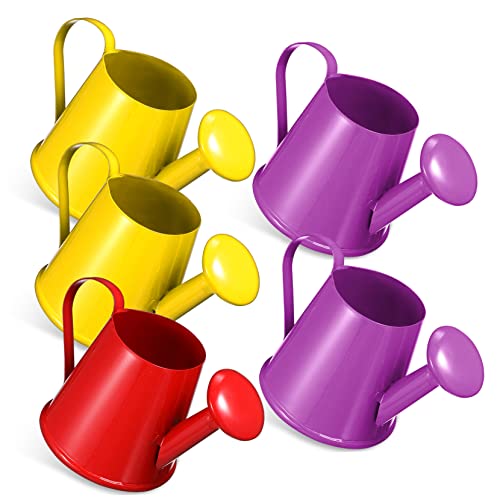 GLSTOY 5er Set Gießkanne Aus Für Kleine Pflanzenbewässerung Lehrmittel Für Gartenarbeit Und Kreative Projekte Bunte Gießkanne Für Spiel Und Spaß GLSTOY 5er Set Gießkanne Aus Für Kleine Pflanzenbewässerung Lehrmittel Für Gartenarbeit Und Kreative Projekte Bunte Gießkanne Für Spiel Und Spaß von GLSTOY