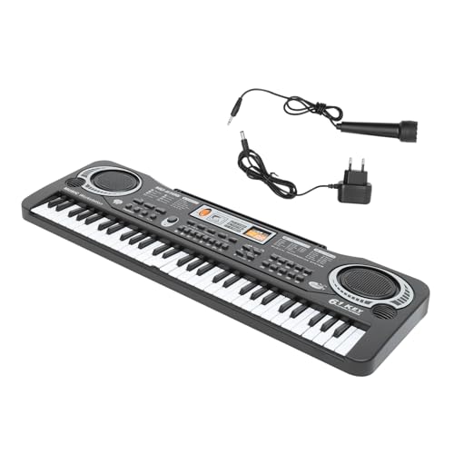 GLSTOY Elektronisches Klavierspielzeug Für Kinder Lernspielzeug Aus Abs Musikalisches Spielzeug Koordination Und Kreativität von GLSTOY