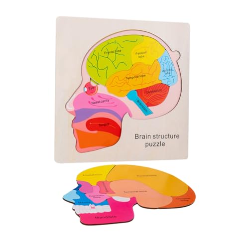 GLSTOY Holz Puzzle Gehirnstruktur Lernspielzeug für Kleinkinder Mehrschichtiges Montessori Sensorikspielzeug Pädagogisches Vorschulspielzeug Kreativität und Feinmotorik von GLSTOY