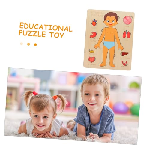 GLSTOY Lernspielzeug Holzpuzzle Körperorgane Pädagogisches Montessori Puzzle Motorikspielzeug Frühförderung Hand Auge Koordination Gedächtnistraining von GLSTOY