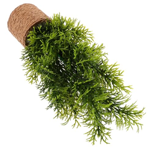 GLSTOY Maßstab Bonsai Topfpflanze Ergänzung für Mini Garten Landschaften GLSTOY Maßstab Bonsai Topfpflanze Ergänzung für Mini Garten Landschaften von GLSTOY