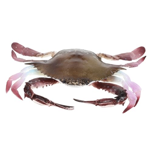 GLSTOY Realistische Krabbenfigur PVC Lebensechte Meerestier Nachbildung Dekoratives Lernspielzeug und Partyaccessoire für Aquarium Dekoration GLSTOY Realistische Krabbenfigur PVC Lebensechte Meerestier Nachbildung Dekoratives Lernspielzeug und Partyaccessoire für Aquarium Dekoration von GLSTOY