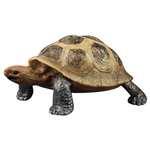 GLSTOY Schildkröte Figur Realistische Schildkrötenfigur Aus Lifelike Land Tortoise Modell Für Dekoration Für Garten Und Zuhause Ideale Geschenkidee Für Tierliebhaber Und Sammler Turtle GLSTOY Schildkröte Figur Realistische Schildkrötenfigur Aus Lifelike Land Tortoise Modell Für Dekoration Für Garten Und Zuhause Ideale Geschenkidee Für Tierliebhaber Und Sammler Turtle von GLSTOY