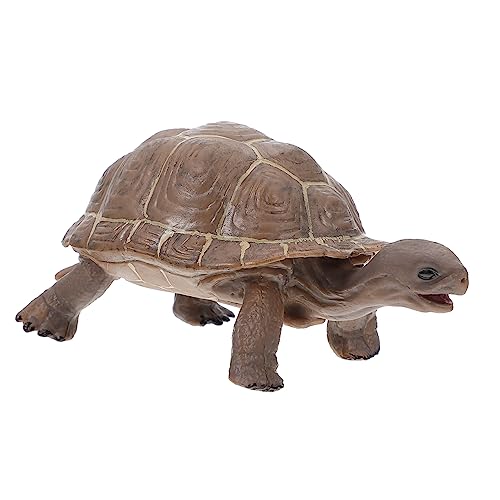 GLSTOY Exquisites Schildkrötenmodell-Spielzeug Realistische Schildkrötenfigur Wissenschaftliches Lernspielzeug Für Jungen Und Mädchen von GLSTOY