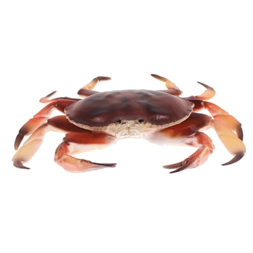 GLSTOY Realistisches Simulationskrabbenmodell Lebensechtes Simulationstiermodell Kleine Krabbenfiguren Tiermodell Aus Kunststoff Realistisches Krabbenmodell Tierfiguren Modellkrabbe von GLSTOY