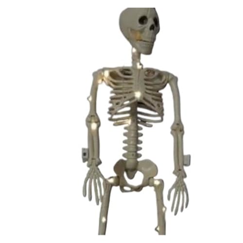 40 cm Halloween Skelett in menschlicher Form, bewegliches Skelett, Knochen in menschlicher Form, Halloween-Horror-Dekorationen, Spukhaus-Horror-Requisiten(Chocolate) von GLSZNQO