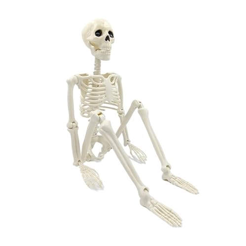 40 cm Halloween Skelett in menschlicher Form, bewegliches Skelett, Knochen in menschlicher Form, Halloween-Horror-Dekorationen, Spukhaus-Horror-Requisiten(Light Grey) von GLSZNQO