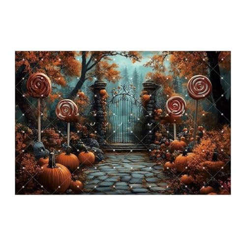 Halloween Lollipop Fotografie Hintergrund Gruseliger Wald Kürbis Dekor Trick or Treat Kinder Portrait Foto Hintergrund Fotostudio(NGD06901) von GLSZNQO