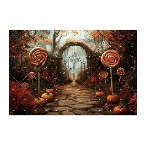 Halloween Lollipop Fotografie Hintergrund Gruseliger Wald Kürbis Dekor Trick or Treat Kinder Portrait Foto Hintergrund Fotostudio(NGD06902) von GLSZNQO