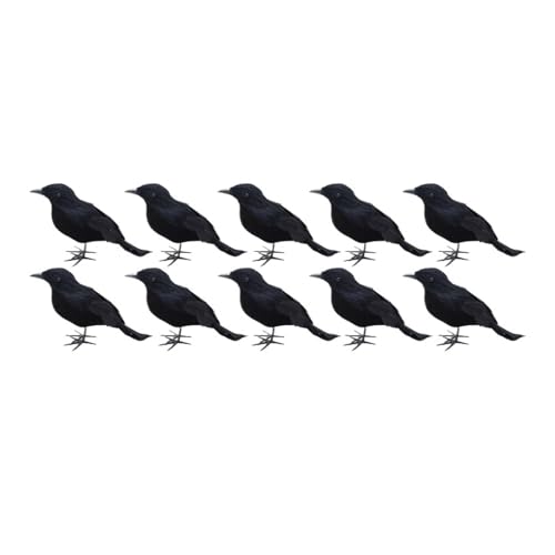 Simulation Schwarze Krähe Halloween Schwarze Krähe Requisiten Simulation Gefälschte Vogel Geist Festival Halloween Dekoration Gruseliges Spielzeug(A 10 PC) von GLSZNQO