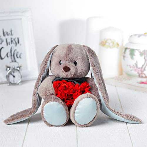 GMMH Plüschtier Stofftier Bär Hase Teddybär Fuchs, 20 cm Hoch (Hase mit roten Rosen), Osterhase Kuscheltier Plüsch Plüschtiere Kuscheltiere von GMMH