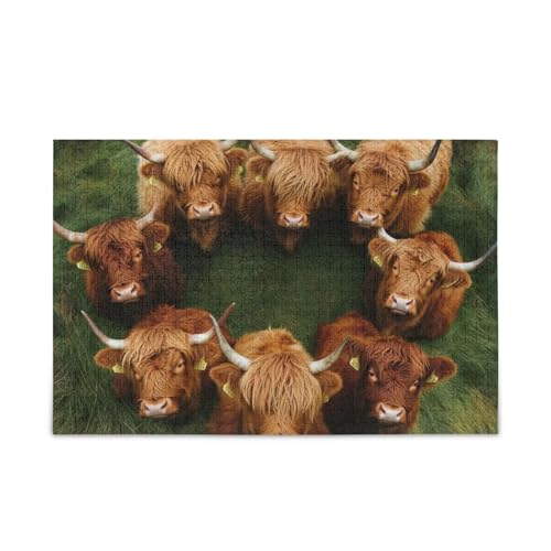 GOODOLD Highland Cows Puzzles für Erwachsene und Kinder, 1000 Teile, Holzpuzzles, glückliche Familienspiele, ideal GOODOLD Highland Cows Puzzles für Erwachsene und Kinder, 1000 Teile, Holzpuzzles, glückliche Familienspiele, ideal von GOODOLD
