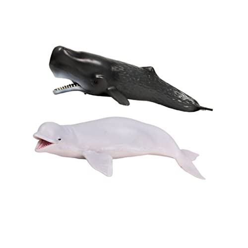 GOOHOCHY 2 Stücke Whale Modell Modelle Meer Tier Pädagogisches Marine Tier Modell GOOHOCHY 2 Stücke Whale Modell Modelle Meer Tier Pädagogisches Marine Tier Modell von GOOHOCHY