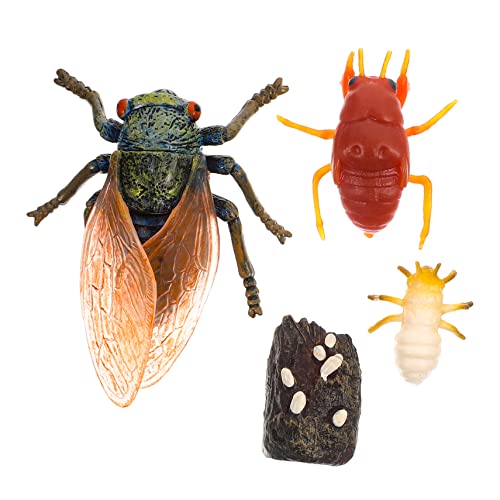 GOOHOCHY Spielzeugset Zikaden Lebenszyklus Wachstumsmodell Simulation Ausstellungsmodelle Kunststoff Dekoration Ornament Für Kinder GOOHOCHY Spielzeugset Zikaden Lebenszyklus Wachstumsmodell Simulation Ausstellungsmodelle Kunststoff Dekoration Ornament Für Kinder von GOOHOCHY