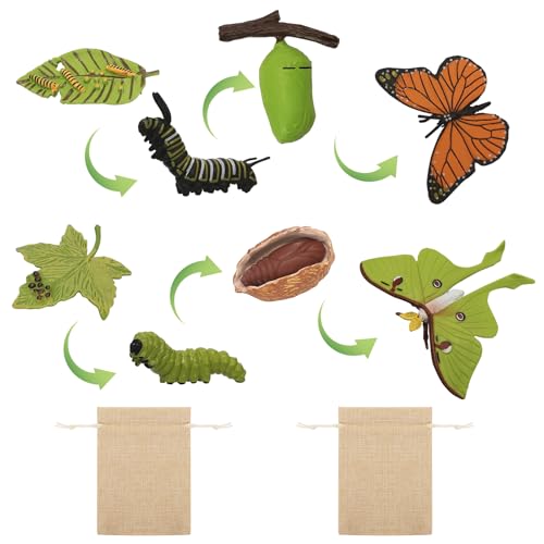 4 Stück Schmetterling und 4 Stück Motte Figuren aus Kunststoff – Insektenfiguren für den Lebenszyklus von der Raupe zum Schmetterling als Lehrmittel für Schulprojekte und Kinder 4 Stück Schmetterling und 4 Stück Motte Figuren aus Kunststoff – Insektenfiguren für den Lebenszyklus von der Raupe zum Schmetterling als Lehrmittel für Schulprojekte und Kinder von GOTDYBST