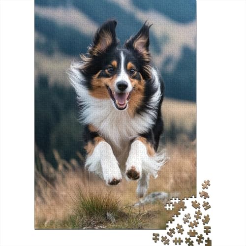 Shetland SchafeHund Puzzle 1000 Teile Schwer Puzzle Spielzeug Lernspiel Impossible Herausforderungsspielzeug Für Erwachsene Und Kinder in Bewährter 1000pcs (75x50cm) von GQLIDDAOE