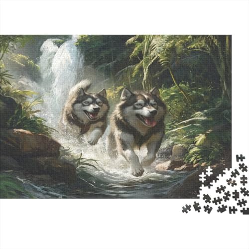 Sibirischer Husky Puzzle 1000 Teile Puzzle Für Erwachsene Und Kinder Ab 14 Jahren Puzzel 1000pcs (75x50cm) von GQLIDDAOE
