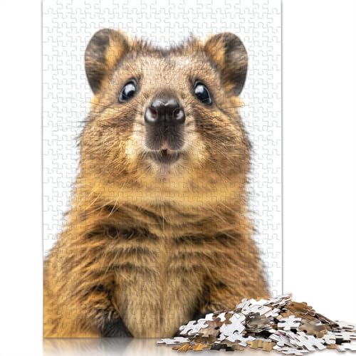 1000-teiliges Quokka-Gesichtspuzzle, Schwierigkeitsgrad: Puzzle, Lernspiele, Spielzeug, 1000 Stück (38 x 26 cm) von GQmoney