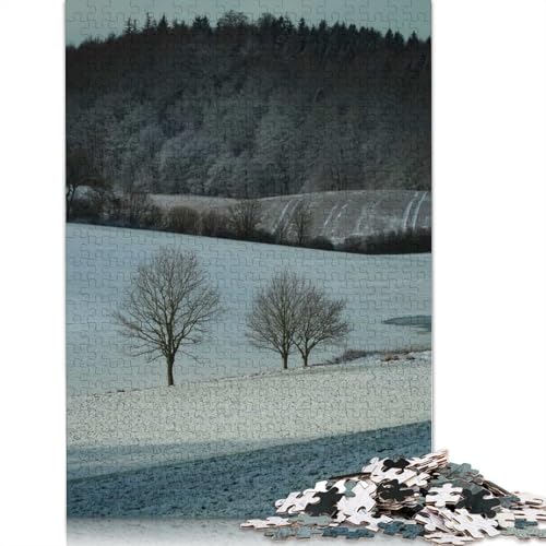 Betreffname> Puzzle 1000 Teile für Erwachsene, Papier, Lernspiel, Herausforderungsspielzeug, 1000 Teile (75 x 50 cm) von GQmoney