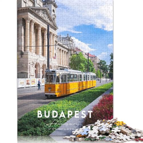 Budapester Koordinaten, Puzzlespielzeug für Erwachsene, Lernspiel, Puzzlespiele für Erwachsene für Frauen und Männer, 1000 Teile (75 x 50 cm) von GQmoney