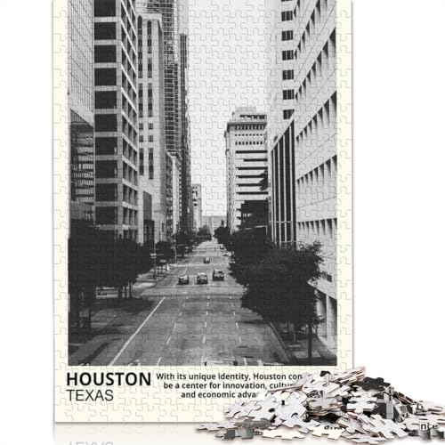Houston City Puzzle für Erwachsene, 1000 Teile, lustiges Denksport-Puzzle für Kinder ab 12 Jahren, 1000 Teile (75 x 50 cm) von GQmoney