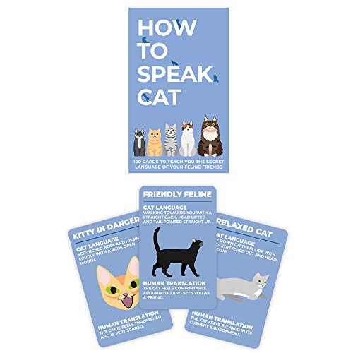 Gift Republic GR490104 100 Katzen-Karten How to Speak von GR Gift Republic