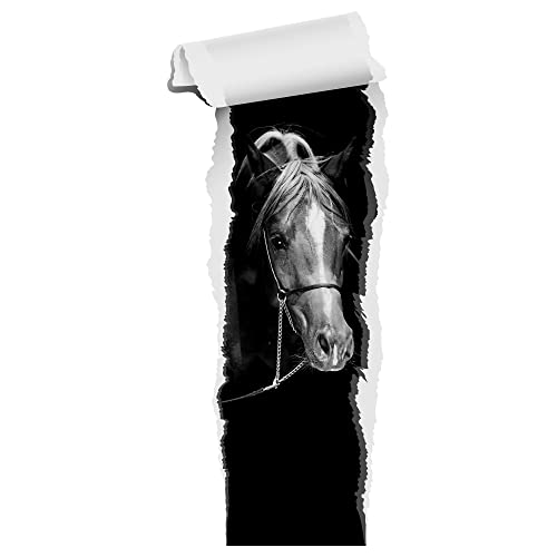 GRAZDesign Wandtattoo Pferd Tapete | Wandtattoo Kinderzimmer Mädchen | Wandsticker Pferdekopf braun | Deko Wanddeko selbstklebend XXL Schwarz Weiß Bild, 72x30cm GRAZDesign Wandtattoo Pferd Tapete | Wandtattoo Kinderzimmer Mädchen | Wandsticker Pferdekopf braun | Deko Wanddeko selbstklebend XXL Schwarz Weiß Bild, 72x30cm von GRAZDesign
