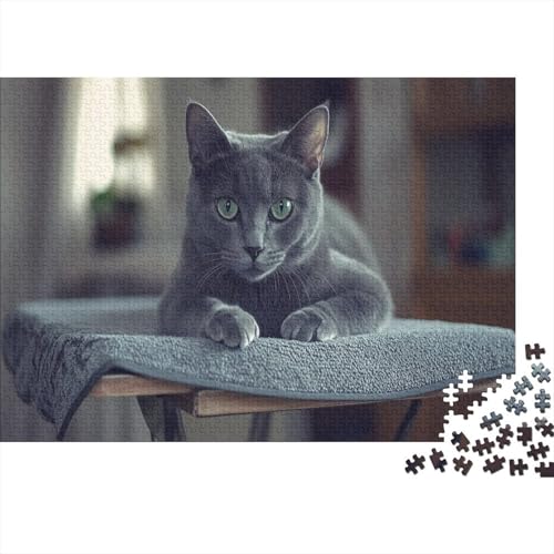 1000 Teile Puzzle Für Erwachsene | Katzen-Kunst 75x50 cm | Herausforderndes Familienpuzzle Ab 14 Jahren Mit Premium-Druck von GRBASNDOU