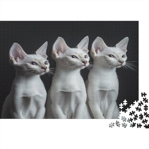 1000 Teile Puzzle Für Erwachsene | Katzen-Kunst 75x50 cm | Herausforderndes Familienpuzzle Ab 14 Jahren Mit Premium-Druck von GRBASNDOU