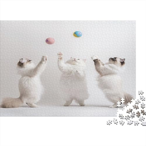 Familienpuzzle 1000 Teile Katzen | XXL 75x50 cm Premium-Set-Puzzle | Erwachsenenrätsel Ab 14 Jahre Mit Farbenfrohem Artwork von GRBASNDOU