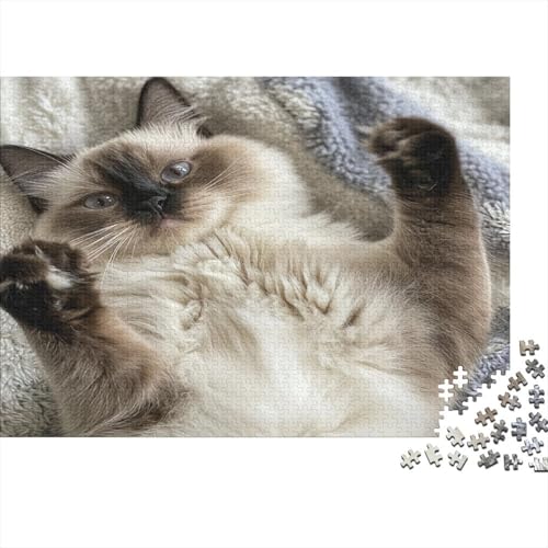 Familienpuzzle 1000 Teile Katzen | XXL 75x50 cm Premium-Set-Puzzle | Erwachsenenrätsel Ab 14 Jahre Mit Farbenfrohem Artwork von GRBASNDOU