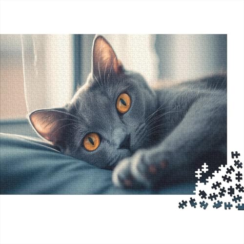 Familienpuzzle 1000 Teile Katzen | XXL 75x50 cm Premium-Set-Puzzle | Erwachsenenrätsel Ab 14 Jahre Mit Farbenfrohem Artwork von GRBASNDOU