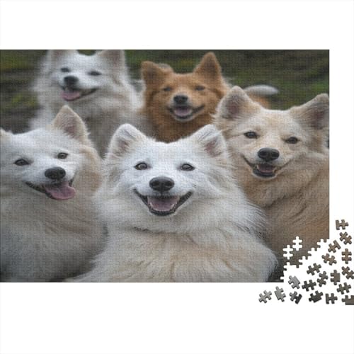 Holz-Puzzle Für Erwachsene 1000 Teile - Realistisches Hunde-Motiv 75x50 cm - Premium XXL Puzzle Mit Einzigartigem Schnitt - Herausforderndes Denkspiel Für Erwachsene Holz-Puzzle Für Erwachsene 1000 Teile - Realistisches Hunde-Motiv 75x50 cm - Premium XXL Puzzle Mit Einzigartigem Schnitt - Herausforderndes Denkspiel Für Erwachsene von GRBASNDOU
