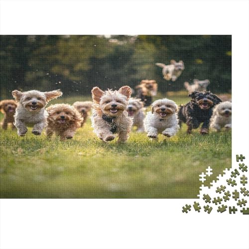 Holz-Puzzle Für Erwachsene 1000 Teile - Realistisches Hunde-Motiv 75x50 cm - Premium XXL Puzzle Mit Einzigartigem Schnitt - Herausforderndes Denkspiel Für Erwachsene Holz-Puzzle Für Erwachsene 1000 Teile - Realistisches Hunde-Motiv 75x50 cm - Premium XXL Puzzle Mit Einzigartigem Schnitt - Herausforderndes Denkspiel Für Erwachsene von GRBASNDOU