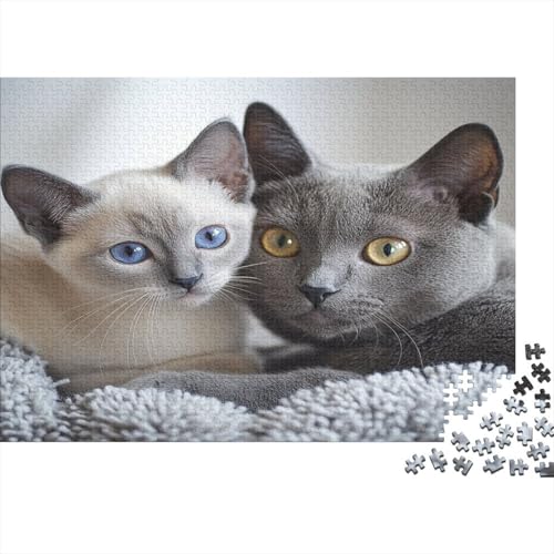Katzen-Kunstwerk Puzzle 1000 Teile | 75x50 cm Großformat Rätselspiel | Erwachsenenpuzzle Ab 14 Jahre Mit Hochwertigem Tiermotiv von GRBASNDOU