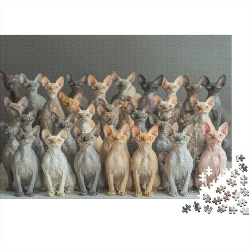 Katzen-Kunstwerk Puzzle 1000 Teile | 75x50 cm Großformat Rätselspiel | Erwachsenenpuzzle Ab 14 Jahre Mit Hochwertigem Tiermotiv von GRBASNDOU