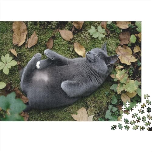 Katzen-Puzzle 1000 Teile Für Erwachsene Ab 14 Jahren | XXL 75x50 cm Premium-Puzzle | Familienfreundliches Legespiel Mit Tierdesign Katzen-Puzzle 1000 Teile Für Erwachsene Ab 14 Jahren | XXL 75x50 cm Premium-Puzzle | Familienfreundliches Legespiel Mit Tierdesign von GRBASNDOU