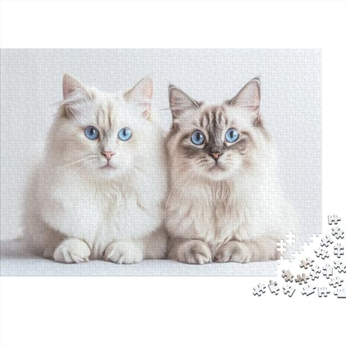 Katzen-Puzzle 1000 Teile Für Erwachsene Ab 14 Jahren | XXL 75x50 cm Premium-Puzzle | Familienfreundliches Legespiel Mit Tierdesign von GRBASNDOU