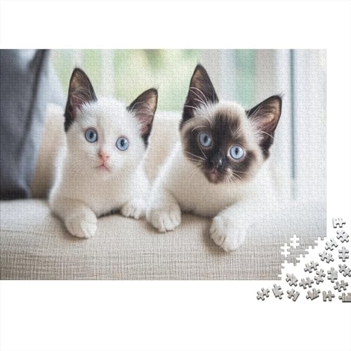 Katzen-Puzzle 1000 Teile Für Erwachsene Ab 14 Jahren | XXL 75x50 cm Premium-Puzzle | Familienfreundliches Legespiel Mit Tierdesign von GRBASNDOU