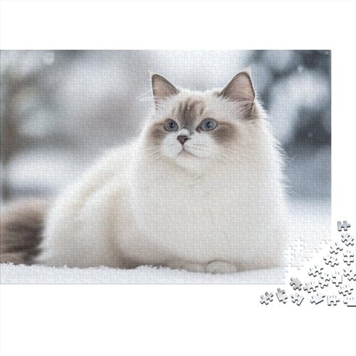 Kunstpuzzle 1000 Teile Katzenmotiv | 75x50 cm Großformat Für Erwachsene Ab 14 | Hochwertiges Legespiel Mit Naturdesign von GRBASNDOU