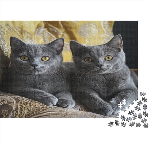 Premium 1000 Teile Puzzle Für Katzenliebhaber | 75x50 cm XXL-Format Erwachsenenpuzzle | Kreatives Challenge-Spiel Ab 14 Jahren Premium 1000 Teile Puzzle Für Katzenliebhaber | 75x50 cm XXL-Format Erwachsenenpuzzle | Kreatives Challenge-Spiel Ab 14 Jahren von GRBASNDOU