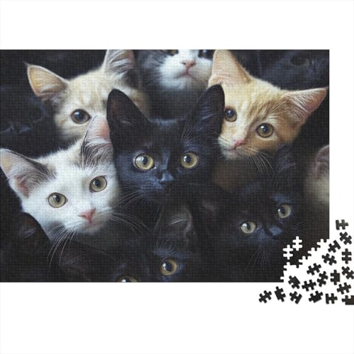 Premium 1000 Teile Puzzle Für Katzenliebhaber | 75x50 cm XXL-Format Erwachsenenpuzzle | Kreatives Challenge-Spiel Ab 14 Jahren von GRBASNDOU